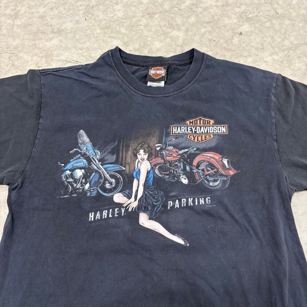 Harley-davidson Men's Black and Navy T-shirt